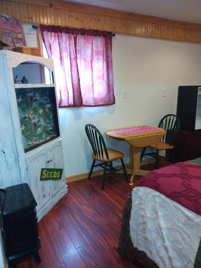 Bed and Breakfast No View Farm Rumford Экстерьер фото