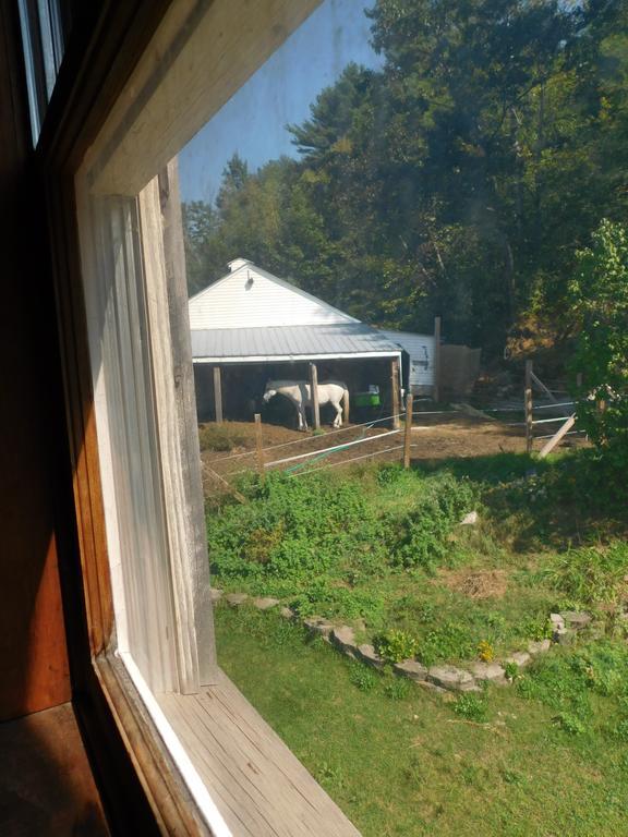 Bed and Breakfast No View Farm Rumford Экстерьер фото