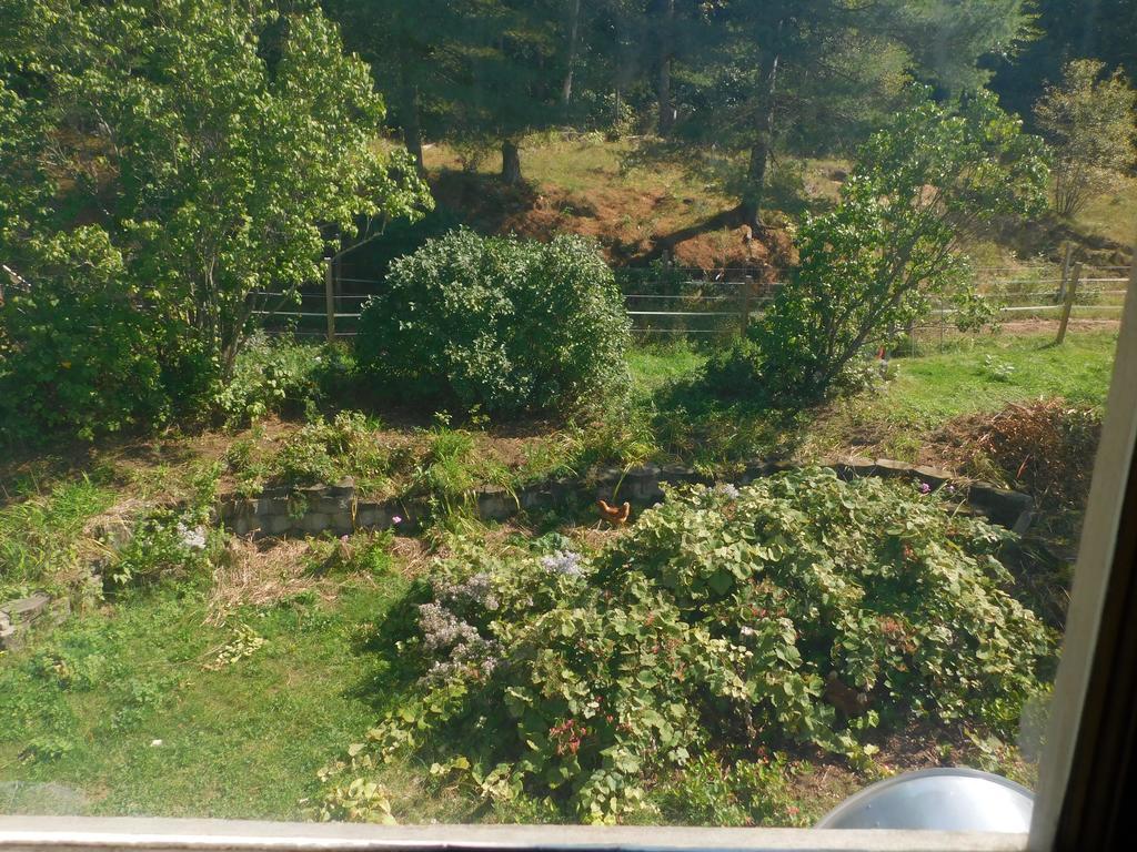 Bed and Breakfast No View Farm Rumford Экстерьер фото